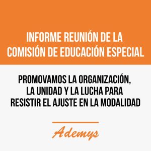 educacion publica y el ajuste 